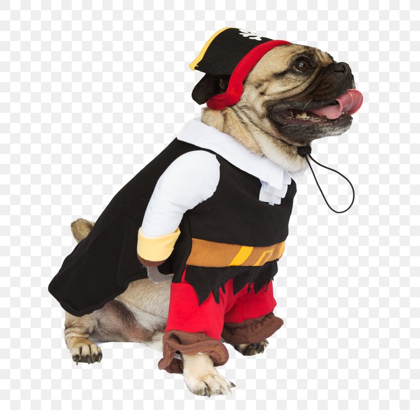 Dog Breed Costume Pug Pet Clothing, PNG, 800x800px, Dog Breed, Carnivoran, Clothing, Companion Dog, Costume Download Free