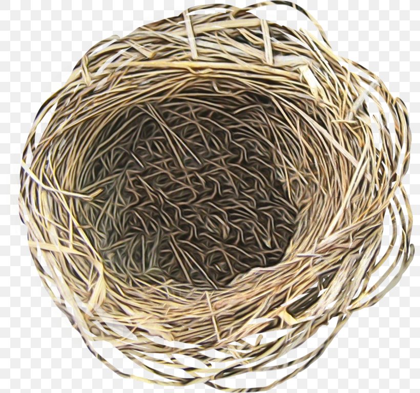 Easter Egg Background, PNG, 800x768px, Bird Nest, Bird, Bird Egg, Bird Houses, Easter Download Free