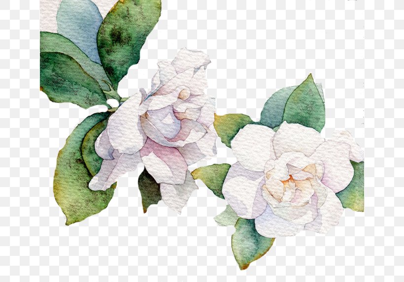 Flower White Leaf Euclidean Vector, PNG, 658x573px, Flower, Cut Flowers, Floral Design, Floristry, Flower Arranging Download Free
