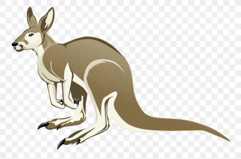 Kangaroo Clip Art, PNG, 830x549px, Kangaroo, Cartoon, Document, Fauna, Fictional Character Download Free