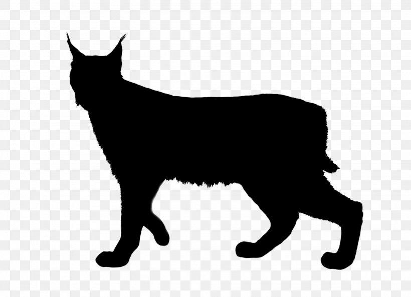 Ocelot Cat Lynxes Vector Graphics Royalty-free, PNG, 2048x1483px, Ocelot, Black, Black Cat, Blackandwhite, Bombay Download Free