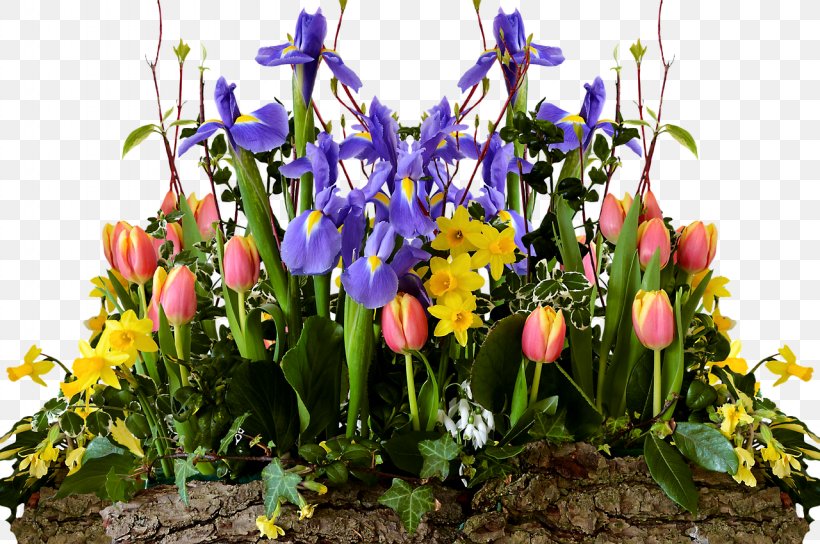 Tulip Flower Bouquet Clip Art, PNG, 1280x850px, Tulip, Bouquet, Crocus, Cut Flowers, Daffodil Download Free