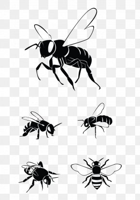 drone bee clipart vector