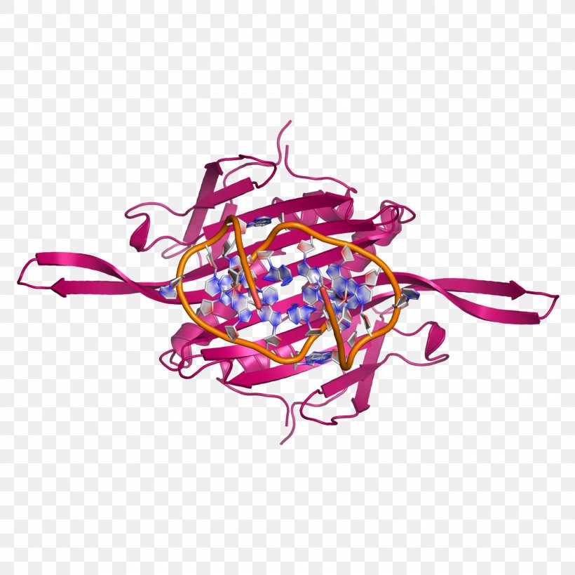 Bacteriophage MS2 RNA Phage Therapy Virus, PNG, 1600x1600px, Bacteriophage Ms2, Adenine, Art, Bacteriophage, Bacteriophage F2 Download Free