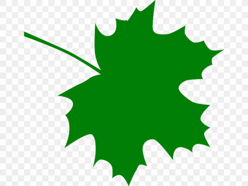Sugar Maple Maple Leaf Clip Art, PNG, 830x623px, Sugar Maple, Autumn Leaf Color, Drawing, Flora, Flowering Plant Download Free
