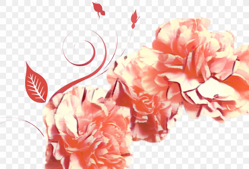 Background Family Day, PNG, 2777x1889px, Garden Roses, Blossom, Carnation, Cut Flowers, Floral Design Download Free
