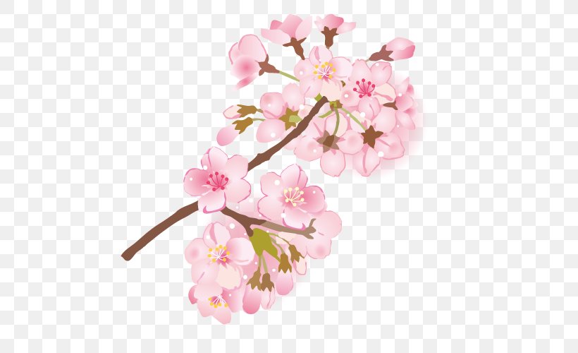 Cherry Blossom Branch Depiction 葉桜, PNG, 500x500px, Cherry Blossom, Blossom, Book Illustration, Branch, Cut Flowers Download Free