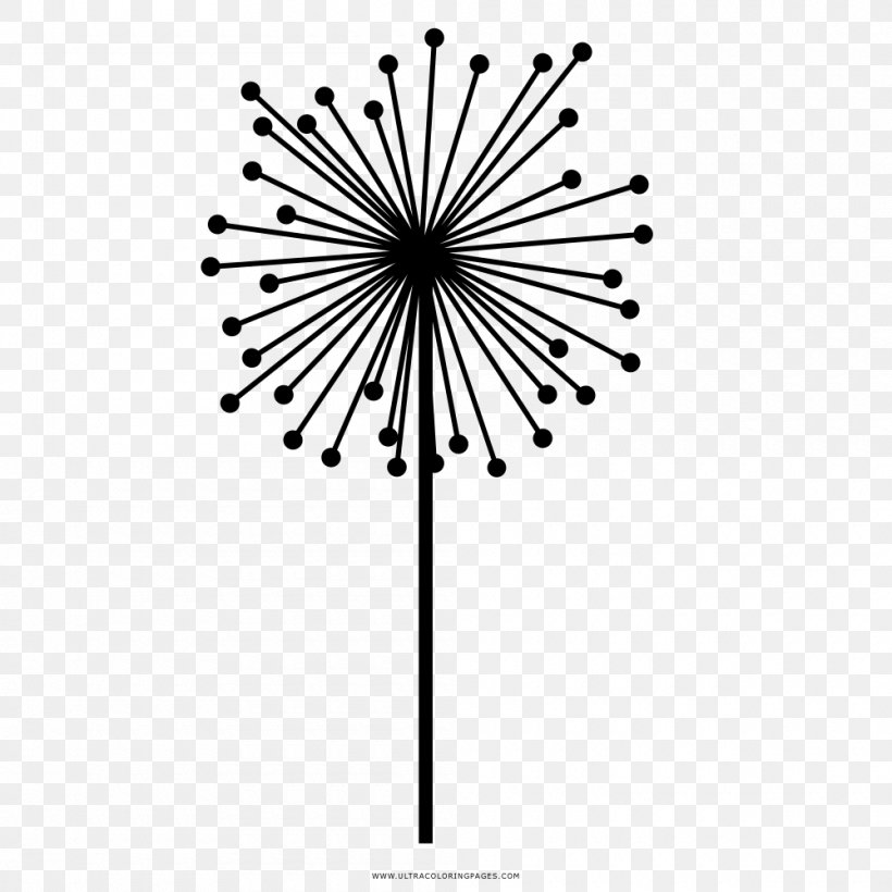 Common Dandelion Scientist Wilderness Torah Earth Drawing, PNG, 1000x1000px, Common Dandelion, Albert Einstein, Black And White, Branch, Color Download Free