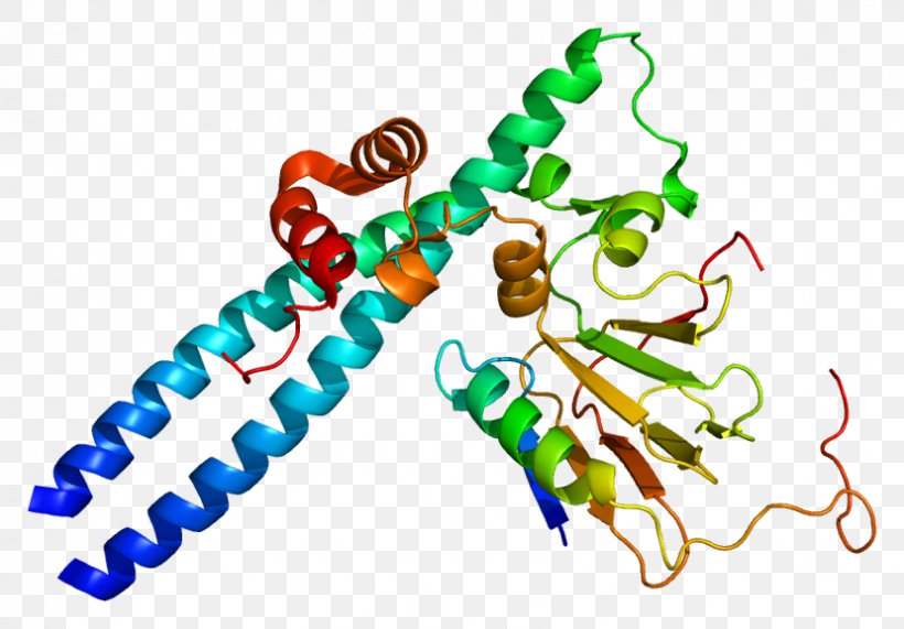 E2F1 Transcription Factor Retinoblastoma Protein, PNG, 829x578px, Transcription Factor, Body Jewelry, Cell, Cell Cycle, Gene Download Free