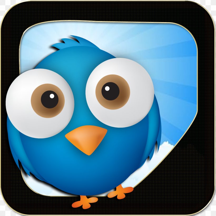 Owl Flightless Bird Beak Microsoft Azure, PNG, 1024x1024px, Owl, Beak, Bird, Bird Of Prey, Flightless Bird Download Free