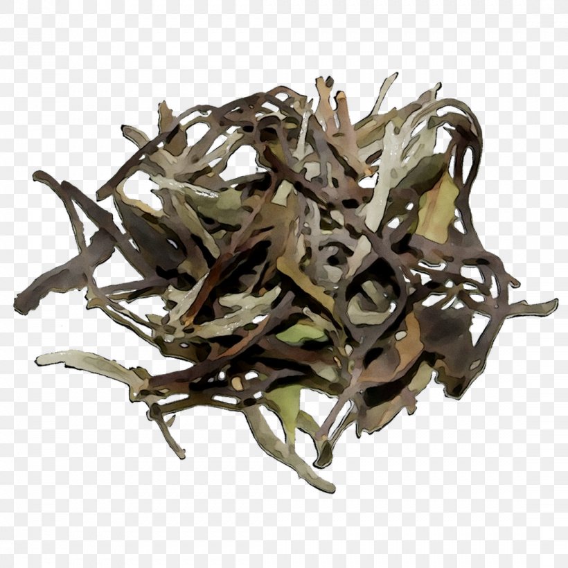 Baihao Yinzhen Golden Monkey Tea Nilgiri Tea Kombu, PNG, 1107x1107px, 2019 Audi Q7, Baihao Yinzhen, Audi Q7, Bai Mudan, Dongfang Meiren Download Free