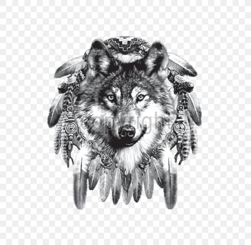 Indian Wolf Dreamcatcher Native Americans In The United States Indigenous Peoples Of The Americas Cherokee, PNG, 600x800px, Indian Wolf, Americans, Black And White, Carnivoran, Cherokee Download Free