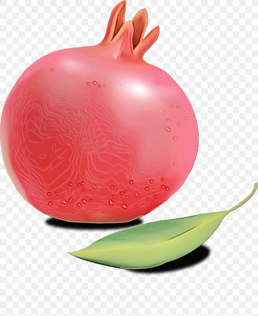 Pink Fruit Plant Radish Vegetable, PNG, 908x1113px, Watercolor, Food, Fruit, Magenta, Paint Download Free
