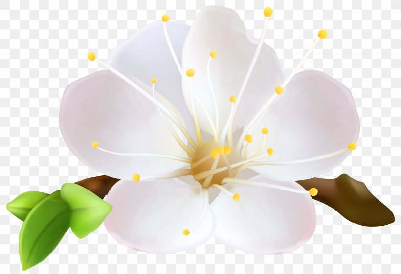 Vector Graphics Clip Art Blossom Image, PNG, 8000x5476px, Blossom, Branch, Drawing, Flower, Flowering Plant Download Free