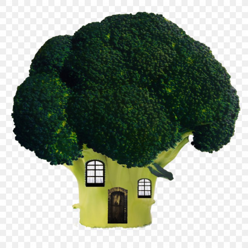 Broccoli House Window Vegetable Cauliflower, PNG, 894x894px, Broccoli, Bookcase, Broccoli House, Building, Cabbage Download Free