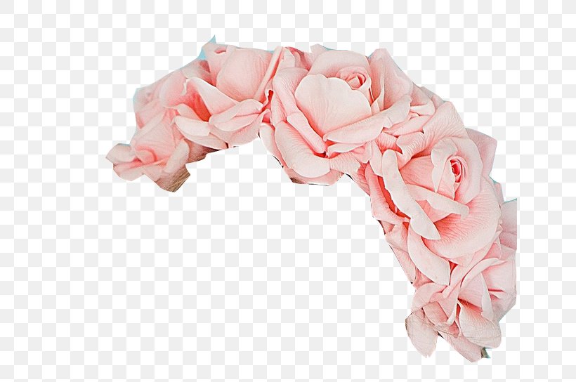 Garden Roses Flower Bouquet Wreath Pink Cut Flowers, PNG, 656x544px, Watercolor, Cartoon, Flower, Frame, Heart Download Free