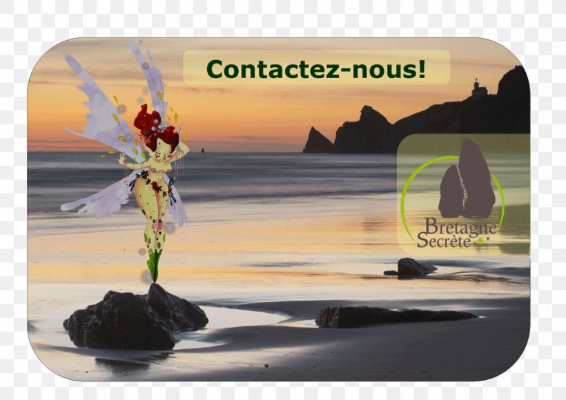 Houat Paimpol Bretagne Secrète, Agence De Voyage Réceptive Travel Agent, PNG, 877x620px, Travel, Advertising, Brand, Brittany, Ecotourism Download Free