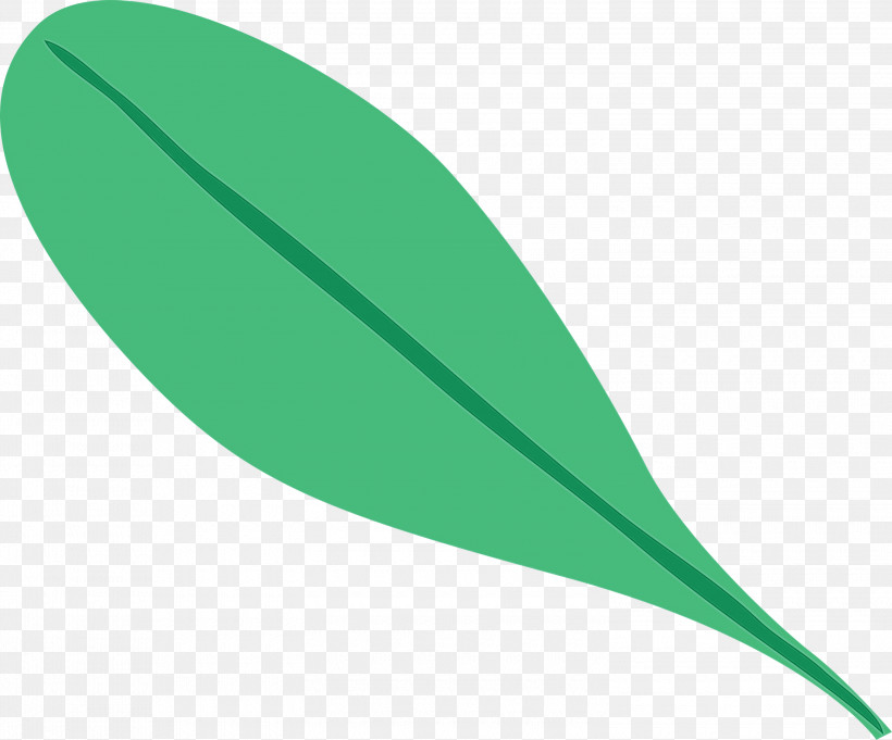 Leaf Plant Stem Green Font Line, PNG, 3000x2493px, Watercolor, Biology, Green, Leaf, Line Download Free