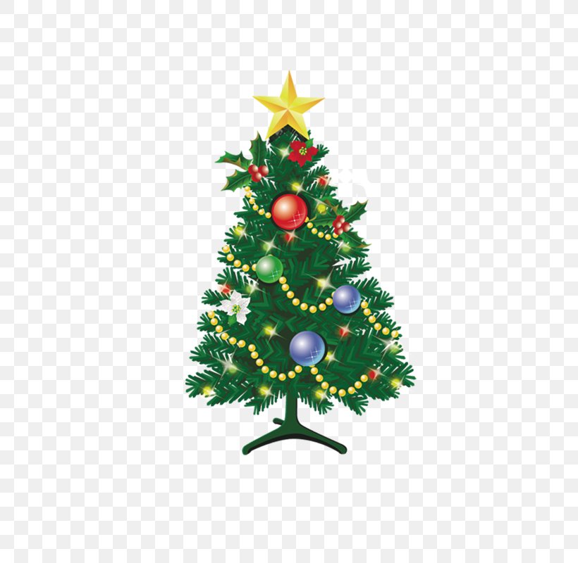 Christmas Tree Illustration, PNG, 800x800px, Christmas, Christmas Decoration, Christmas Ornament, Christmas Tree, Conifer Download Free