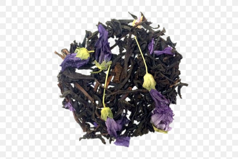 Earl Grey Tea Oolong White Tea Green Tea, PNG, 1024x683px, Earl Grey Tea, Black Tea, Earl, Fair Trade, Flavor Download Free