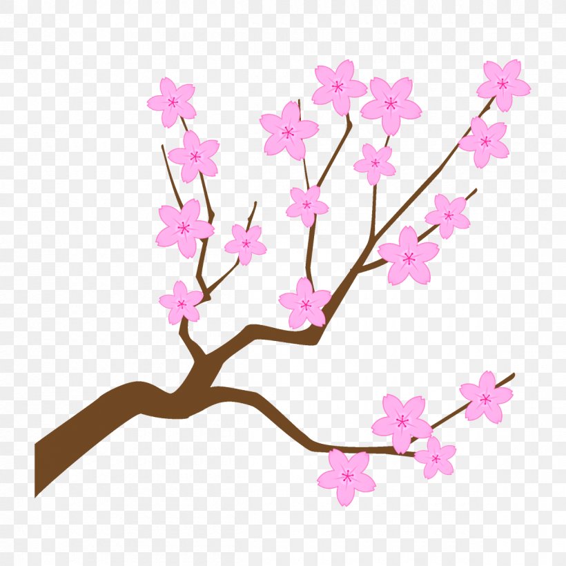 Cherry Blossom, PNG, 1200x1200px, Flower, Blossom, Branch, Cherry Blossom, Cut Flowers Download Free