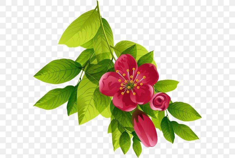 Cut Flowers Clip Art, PNG, 590x553px, Flower, Branch, Coreldraw, Cut Flowers, Floral Design Download Free