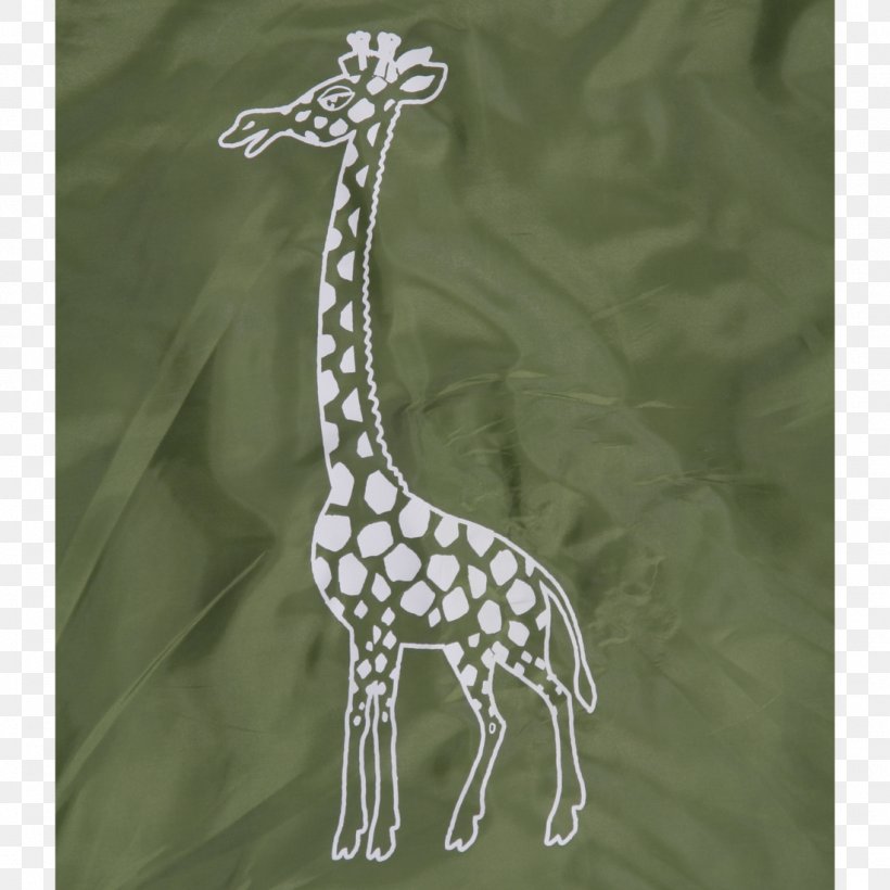 Giraffe Massachusetts Institute Of Technology Neck Terrestrial Animal Wildlife, PNG, 1100x1100px, Giraffe, Animal, Fauna, Giraffidae, Mammal Download Free