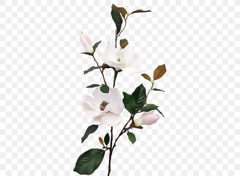 Artificial Flower, PNG, 800x600px, Flower, Artificial Flower, Bird, Blossom, Branch Download Free