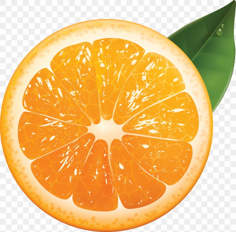 Orange Juice Tangerine Mandarin Orange, PNG, 4890x4809px, Orange Juice, Bitter Orange, Citric Acid, Citrus, Clementine Download Free