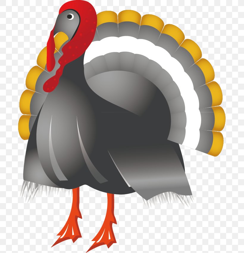 Thanksgiving Symbol Clip Art, PNG, 697x847px, Thanksgiving, Beak, Bird, Chicken, Cornucopia Download Free