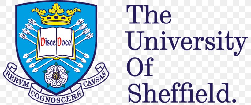 University Of Sheffield Newcastle University University Of Leeds Firth Court, PNG, 800x345px, University Of Sheffield, Area, Banner, Blue, Brand Download Free
