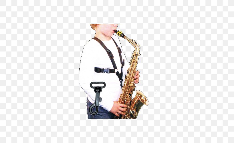 Baritone Saxophone Alto Saxophone Tenor Saxophone Clarinet Family, PNG, 500x500px, Watercolor, Cartoon, Flower, Frame, Heart Download Free