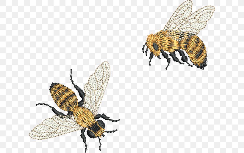 Bee Machine Embroidery Embroider Now Pattern, PNG, 626x516px, Bee, Arthropod, Crewel Embroidery, Cutwork, Embroider Now Download Free