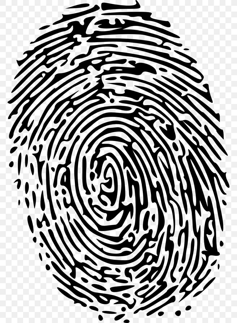 Fingerprint Green Clip Art, PNG, 768x1118px, Fingerprint, Area, Black And White, Blue, Color Download Free