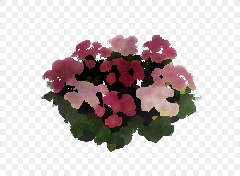 Flower Pink Plant Petunia Petal, PNG, 600x600px, Flower, Annual Plant, Geranium, Houseplant, Hydrangea Download Free