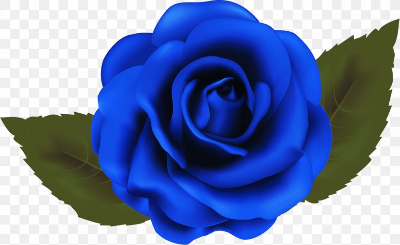Garden Roses Blue Rose Beach Rose Cabbage Rose, PNG, 1200x735px, Garden Roses, Art, Beach Rose, Blue, Blue Rose Download Free