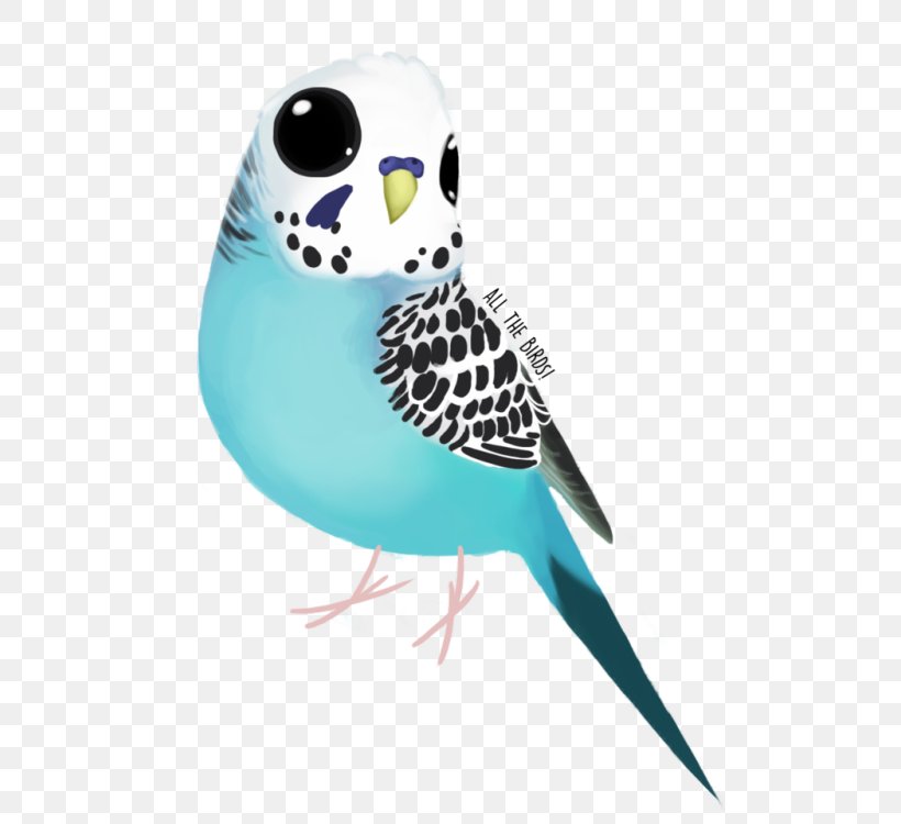 Owl Turquoise Feather Parakeet Beak, PNG, 500x750px, Owl, Beak, Bird, Bird Of Prey, Common Pet Parakeet Download Free