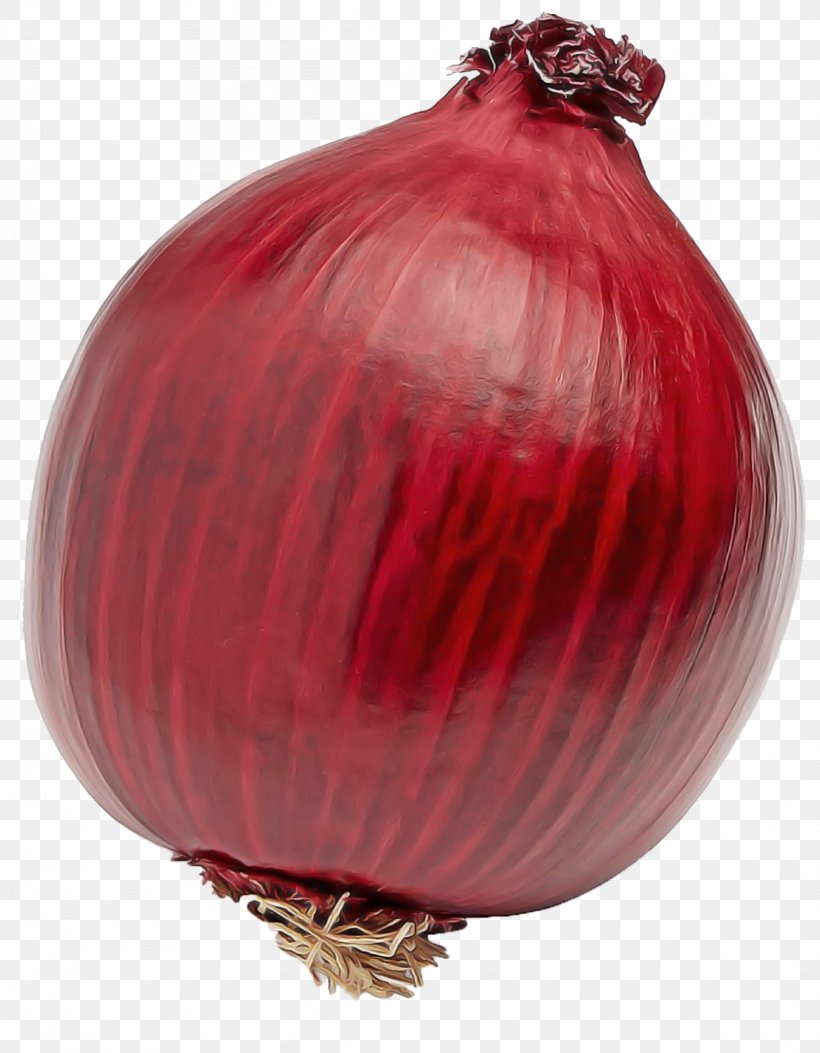 Red Onion Yellow Onion Onion Red Vegetable, PNG, 1168x1500px, Red Onion, Allium, Amaryllis Family, Food, Onion Download Free