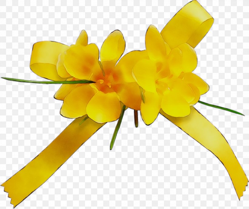 Yellow Cut Flowers Plant Stem Flowering Plant, PNG, 1252x1051px, Yellow, Amaryllis Family, Botany, Cut Flowers, Flower Download Free