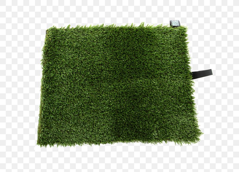 Artificial Turf Green Shrub, PNG, 667x590px, Artificial Turf, Grass, Green, Lawn, Plant Download Free