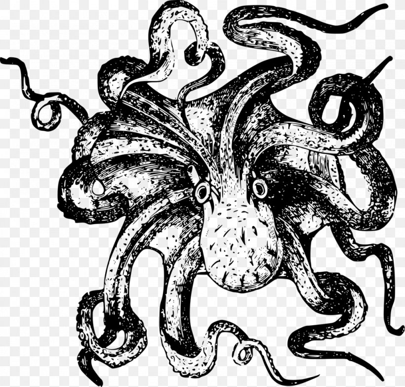 Octopus Drawing Clip Art, PNG, 1024x977px, Octopus, Art, Artwork, Black And White, Cephalopod Download Free