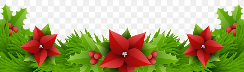 Floral Design Amaryllis Belladonna Cut Flowers, PNG, 10000x2996px, Borders And Frames, Amaryllis Belladonna, Candy Cane, Christmas, Christmas Decoration Download Free