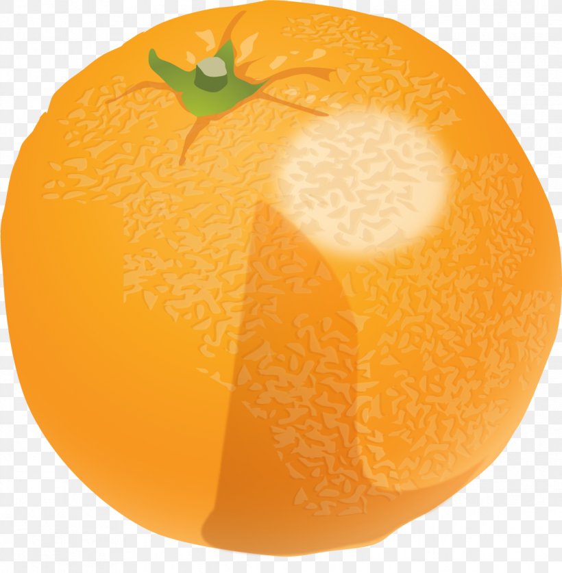 Peach Drawing Icon, PNG, 1135x1159px, Peach, Animation, Auglis, Calabaza, Cartoon Download Free