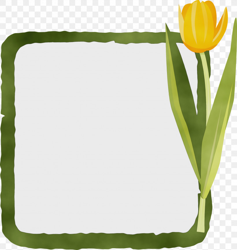 Flower Plant Stem Leaf Rectangle Tulip, PNG, 2850x3000px, Flower Frame, Biology, Flower, Flowerpot, Geometry Download Free
