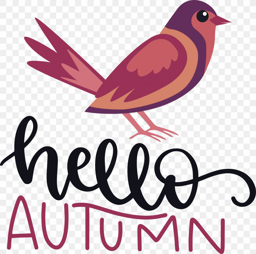 Hello Autumn, PNG, 3000x2979px, Hello Autumn, Beak, Biology, Birds, Logo Download Free
