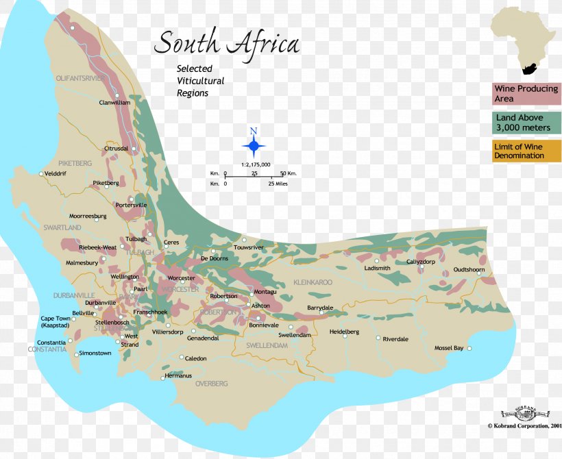 South African Wine South African Wine White Wine Map, PNG, 2521x2062px, South Africa, Africa, Area, Chenin Blanc, Ecoregion Download Free