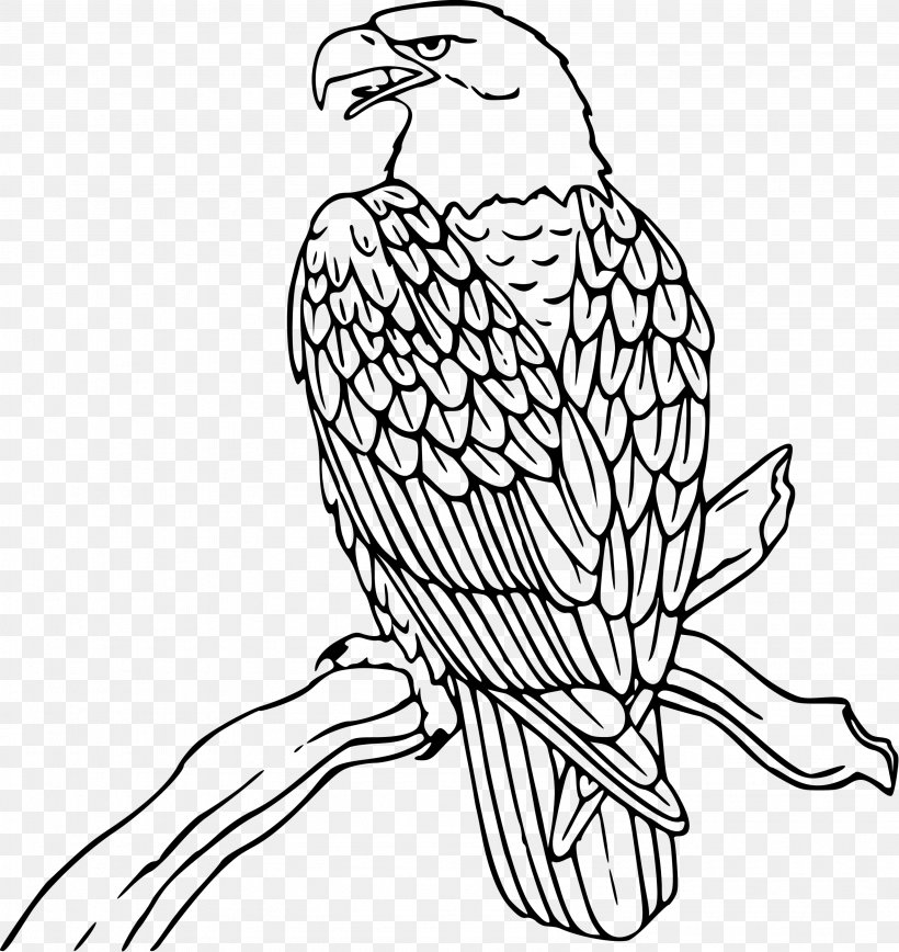 Bald Eagle Coloring Book Golden Eagle Clip Art, PNG, 3182x3370px, Bald Eagle, Animal, Art, Beak, Bird Download Free
