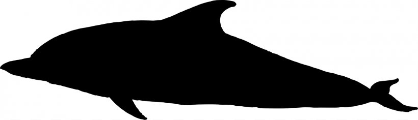 Dolphin Porpoise Black And White Fauna, PNG, 1600x462px, Dolphin, Beak, Black, Black And White, Carnivora Download Free