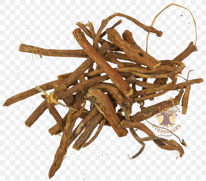Liquorice Root Herbaceous Plant Ingredient, PNG, 1024x903px, Liquorice, Branch, Dianhong, Eating, Fireweed Download Free