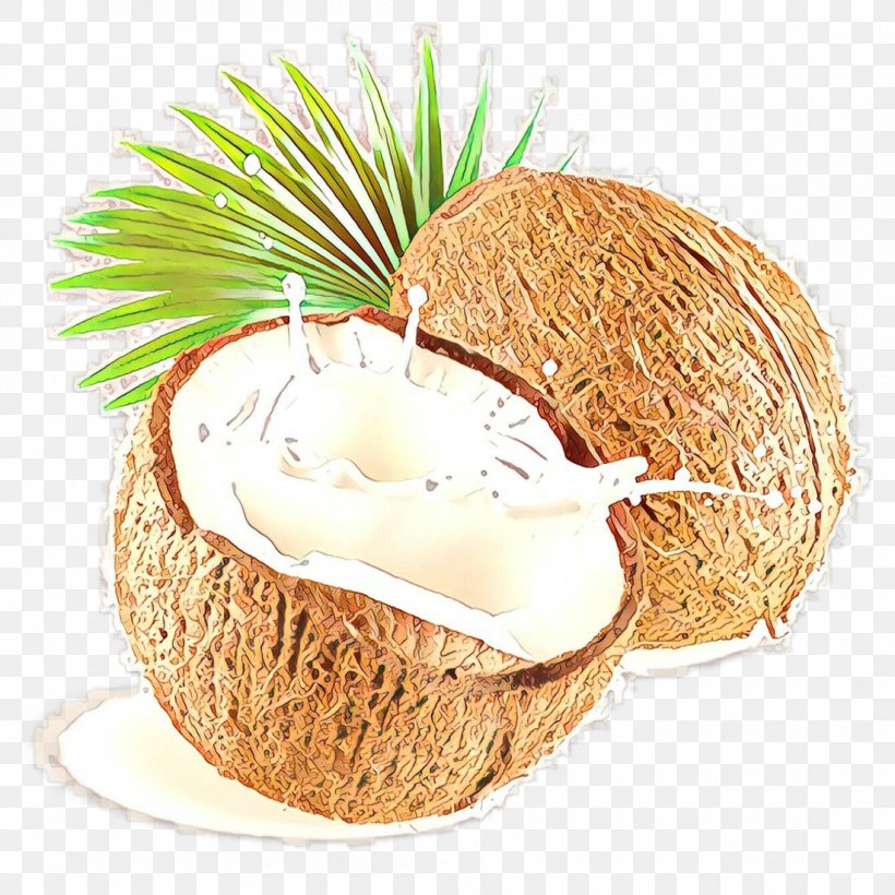 Coconut, PNG, 1100x1100px, Cartoon, Coconut, Coconut Water, Food Download Free